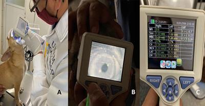 Assessment of the nociceptive response to the use of cannabidiol alone and in combination with meloxicam through infrared pupillometry in female dogs undergoing elective ovariohysterectomy